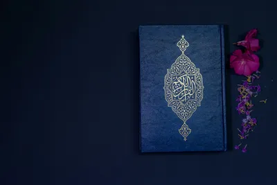 التدبر .. معمار الروح، ودربة العقل